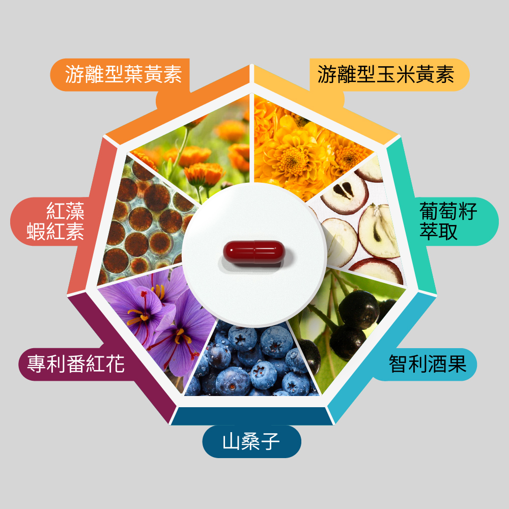 【好市民】好視明:圖片 4